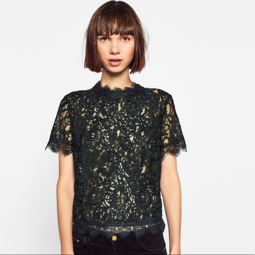 Zara TRF Hunter Green Embroidered Lace Crop Top